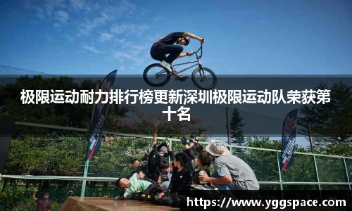 wm视讯平台