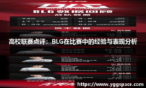 wm视讯平台