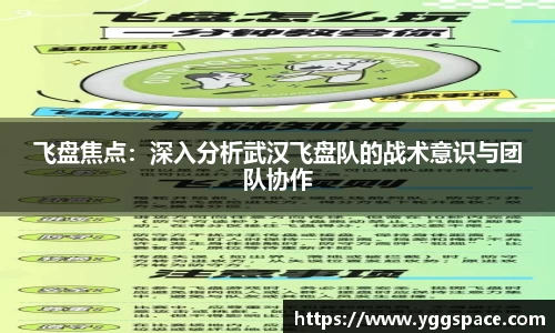 wm视讯平台