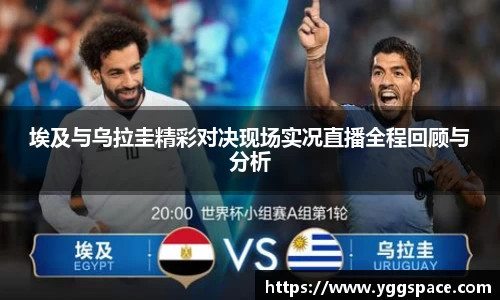 wm视讯平台官网